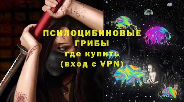 МДПВ Абинск